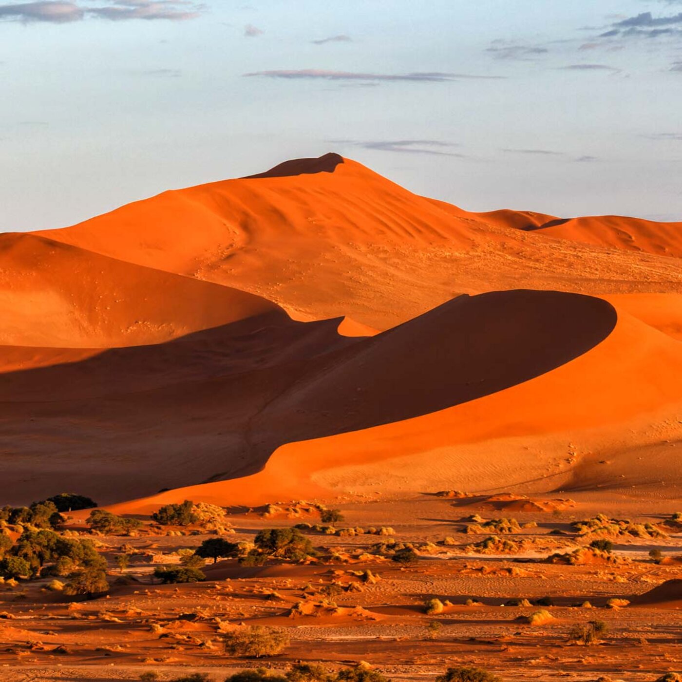 Exploring the Desert