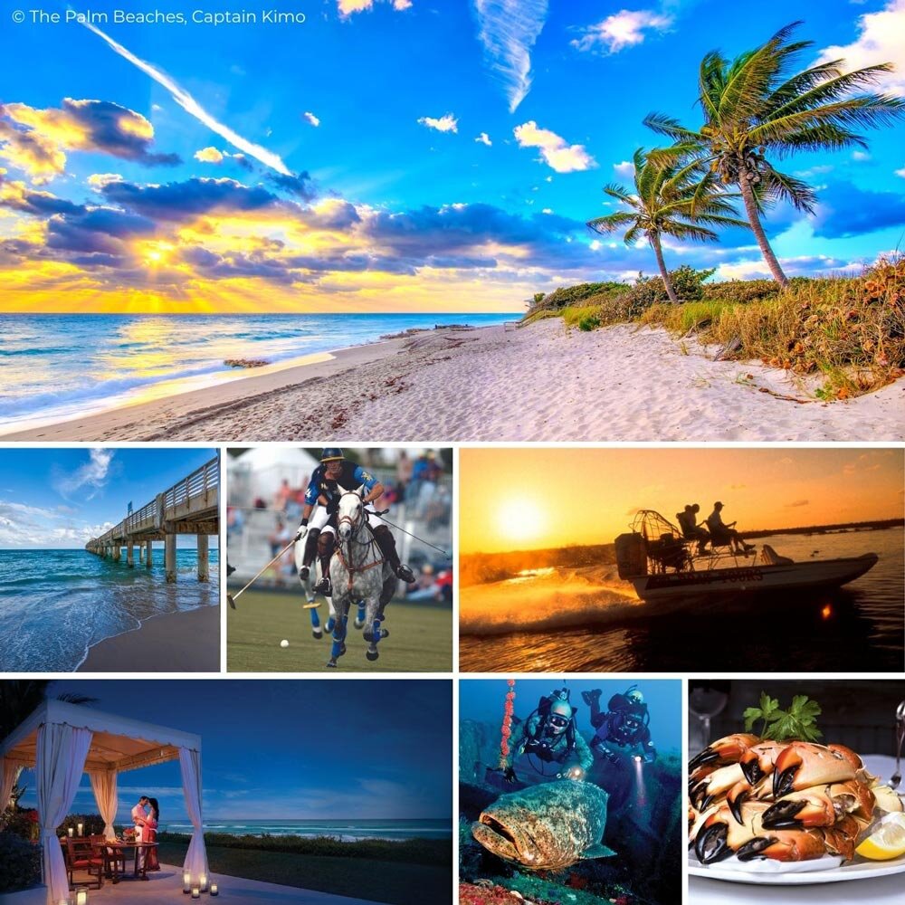 Explore The Palm Beaches